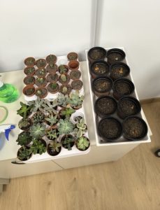 Aula Medioambiental de APAMA: conciencia ecológica, reciclaje y aprendizaje en comunidad